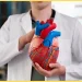 Recognizing Heart Attack Symptoms: Beyond Chest Pain (Especially in Women)