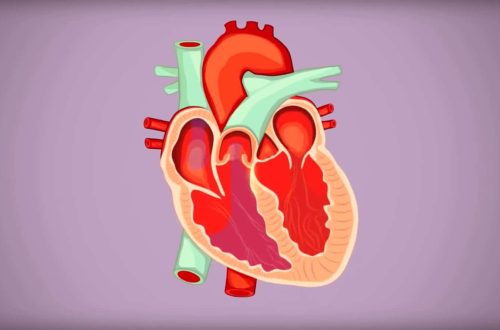 Arrhythmias Explained: From AFib to PVCs - Symptoms & Treatments