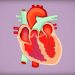 Arrhythmias Explained: From AFib to PVCs - Symptoms & Treatments