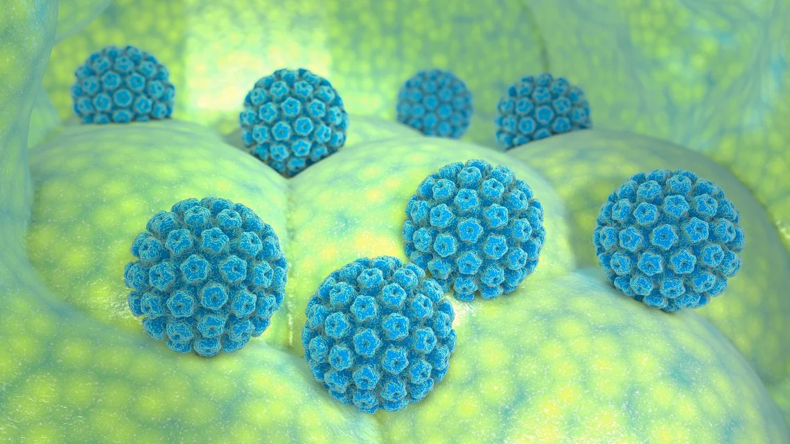 Natural History of HPV: Can the Virus Clear on Its Own?