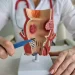 Internal vs. External Hemorrhoids: Symptoms, Differences, and Treatments