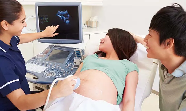 Gender Reveal Timeline: When Can You Know the Baby’s Sex?