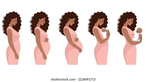 The 3 Trimesters of Pregnancy Explained (With Baby Milestones!)
