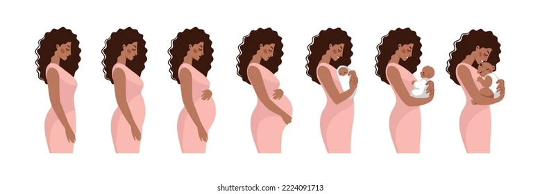 The 3 Trimesters of Pregnancy Explained (With Baby Milestones!)