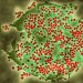 Current COVID-19 Variants: Symptoms, Severity, and Spread