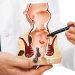 Preventing Hemorrhoids: Diet, Hydration, and Bathroom Habits
