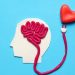 The Link Between Heart Health and Brain Health