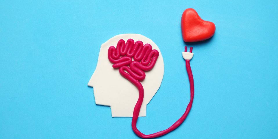 The Link Between Heart Health and Brain Health