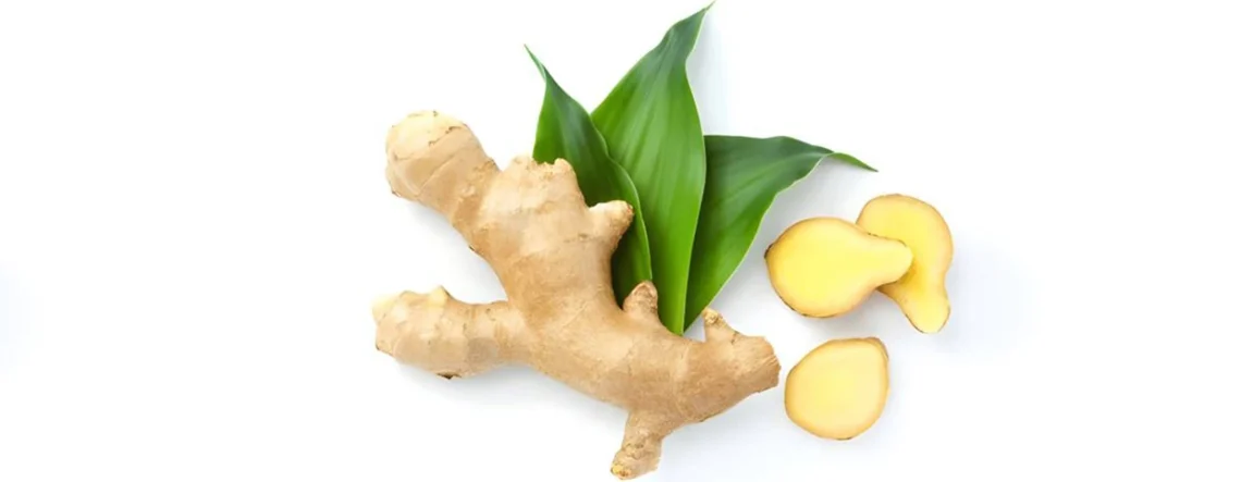 Home Remedies for Nausea: Ginger, Peppermint, Acupressure, Bland Diet