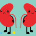 NSAIDs and Diuretics: Renal Function Impact