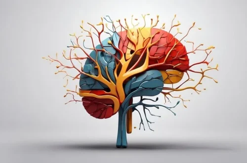 NSAIDs and SSRIs: Gastrointestinal Complications